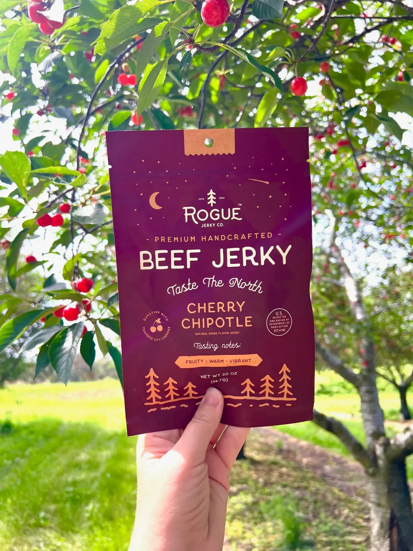 Rogue Beef Jerky