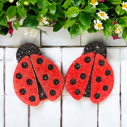 Lady Bug Magnets