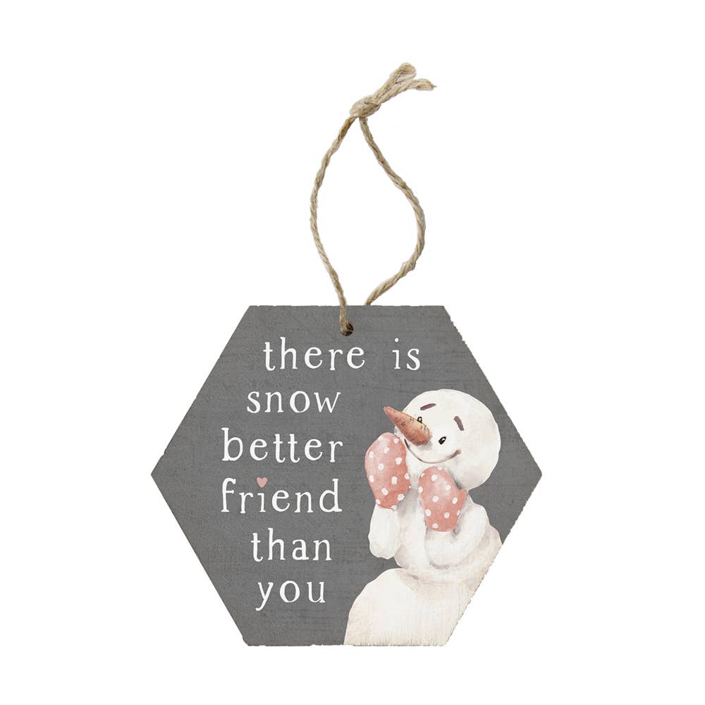 Honeycomb Ornaments - Snow Better Friend