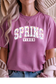 Spring Vibes Graphic Tee