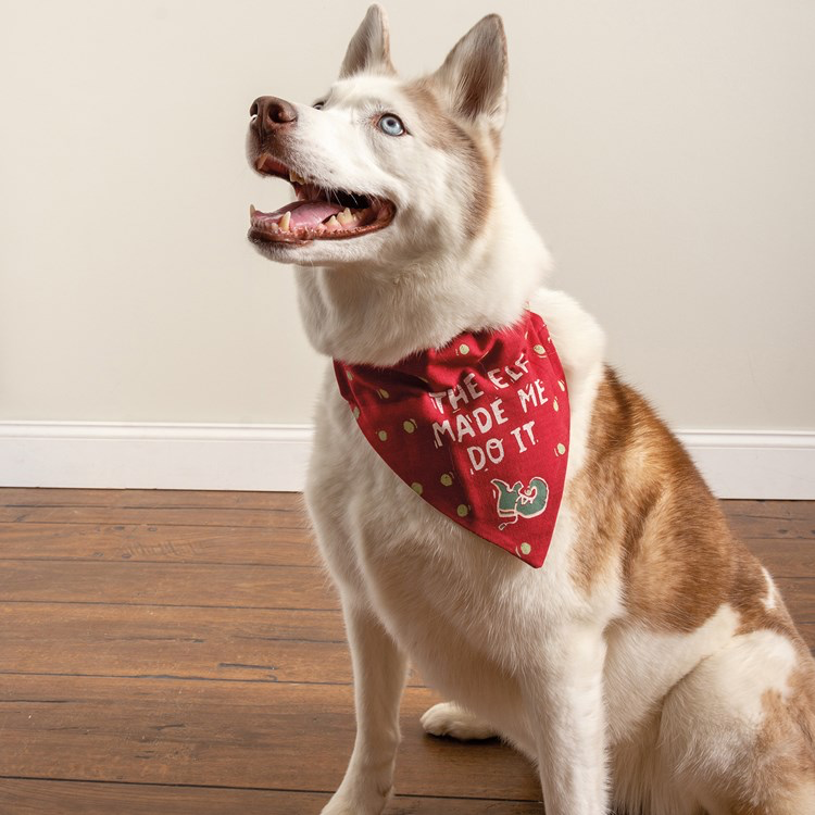 Reversible Dog Bandanas