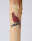 Cardinal Battery Operated LED Timer Taper Candle
